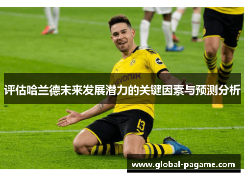 评估哈兰德未来发展潜力的关键因素与预测分析